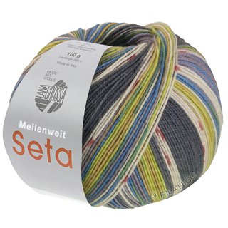 Lana Grossa MEILENWEIT 100g Seta Giappone