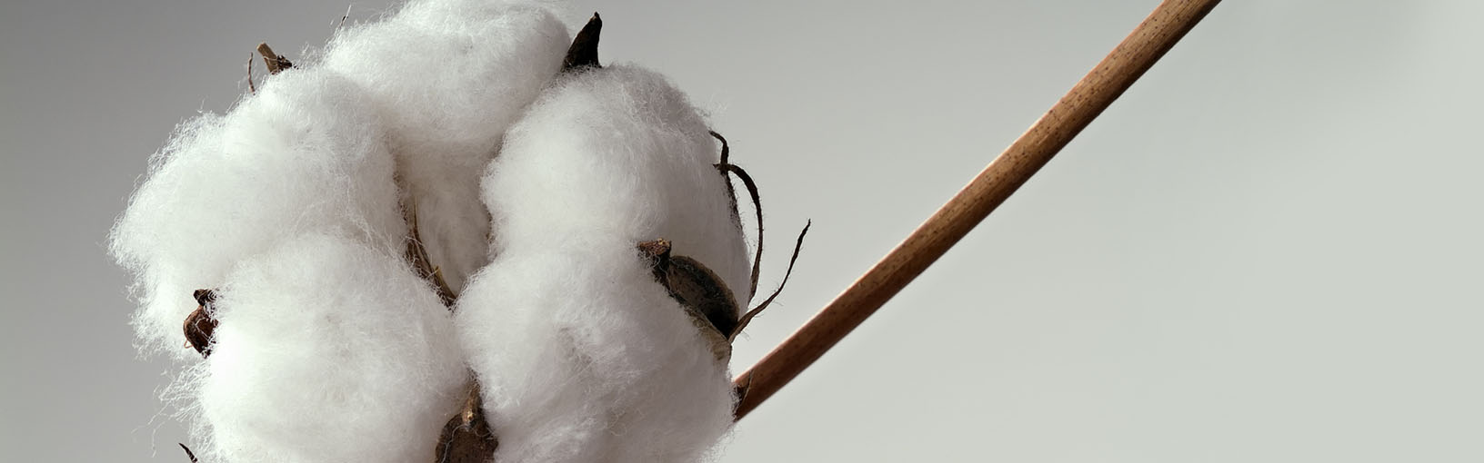 Fils de haute qualité pour tricoter, crocheter et feutrer Fils Lana Grossa